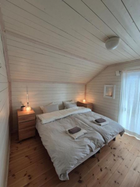 Røros sentrum